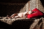 Sleeping Sphynx